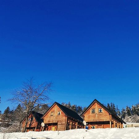 Sunny Hill Cabins 科拉欣 外观 照片