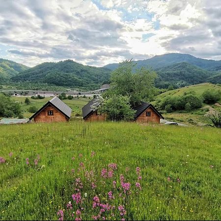 Sunny Hill Cabins 科拉欣 外观 照片