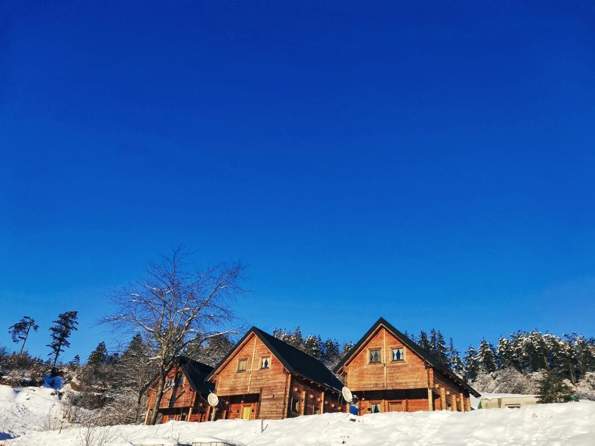 Sunny Hill Cabins 科拉欣 外观 照片