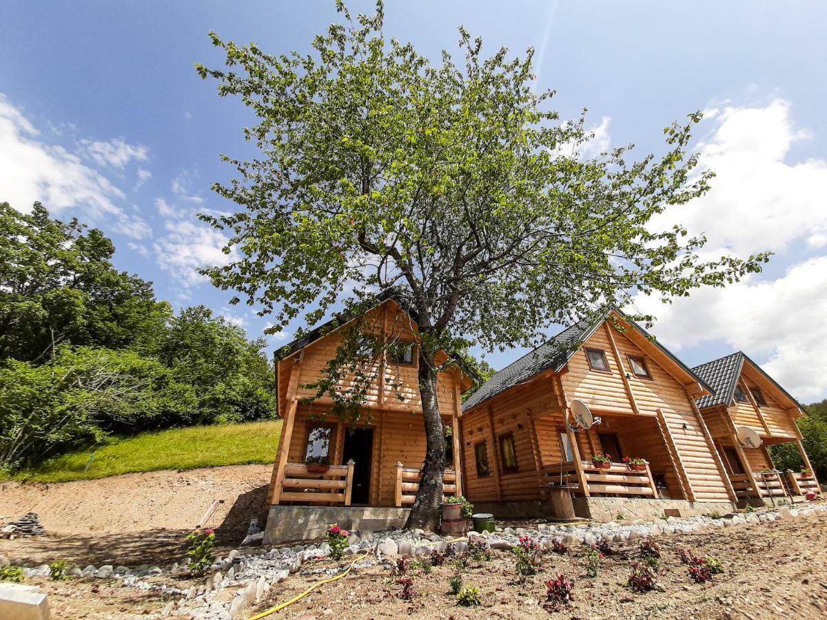 Sunny Hill Cabins 科拉欣 外观 照片